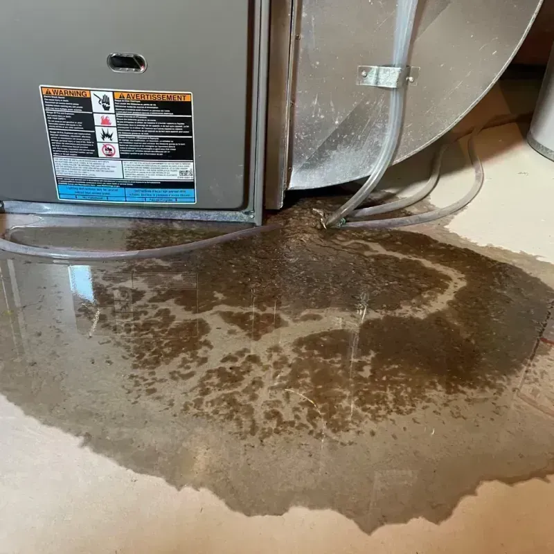 Appliance Leak Cleanup in Saline County, MO